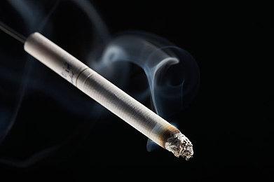 《刀剑神域：彼岸游境》大型DLC前篇“Myosotis”正式发售